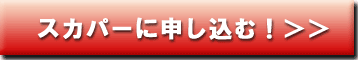 �X�J�p�[